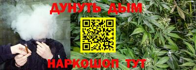 стафф Краснодар