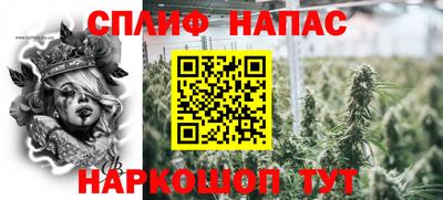 стафф Краснодар