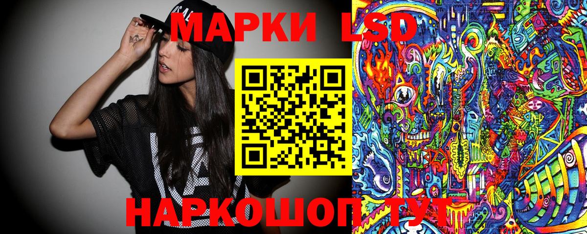 A PVP Советск