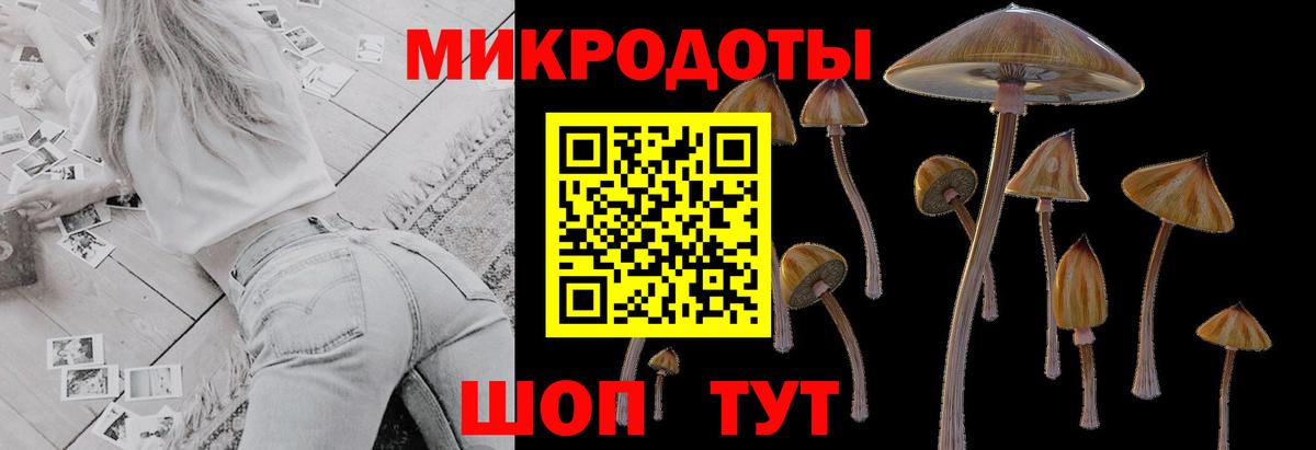 Галлюциногенные грибы мицелий Советск